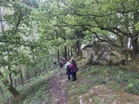 WhatsApp Image 2026-04-18 at 16.41.23 (2)