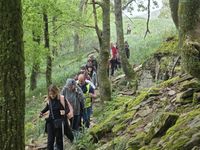 WhatsApp Image 2026-04-18 at 16.41.23 (3)