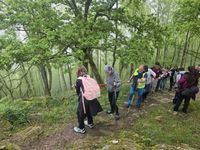 WhatsApp Image 2026-04-18 at 16.41.23