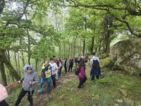 WhatsApp Image 2026-04-18 at 16.41.24 (2)