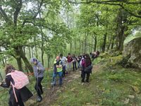 WhatsApp Image 2026-04-18 at 16.41.24 (4)