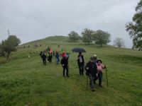 WhatsApp Image 2026-04-18 at 17.59.50