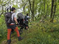 WhatsApp Image 2026-04-18 at 19.35.39 (1)