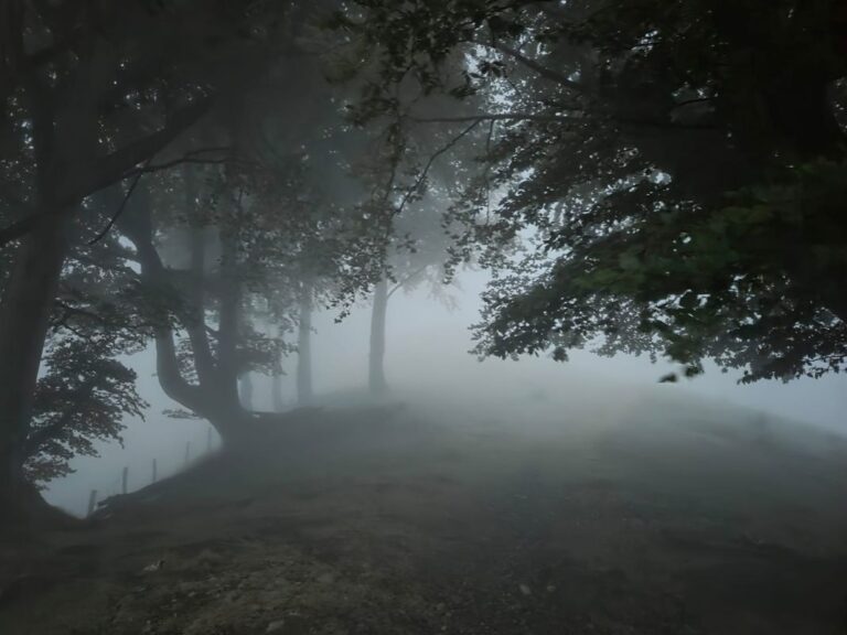 Arritxulo-0026