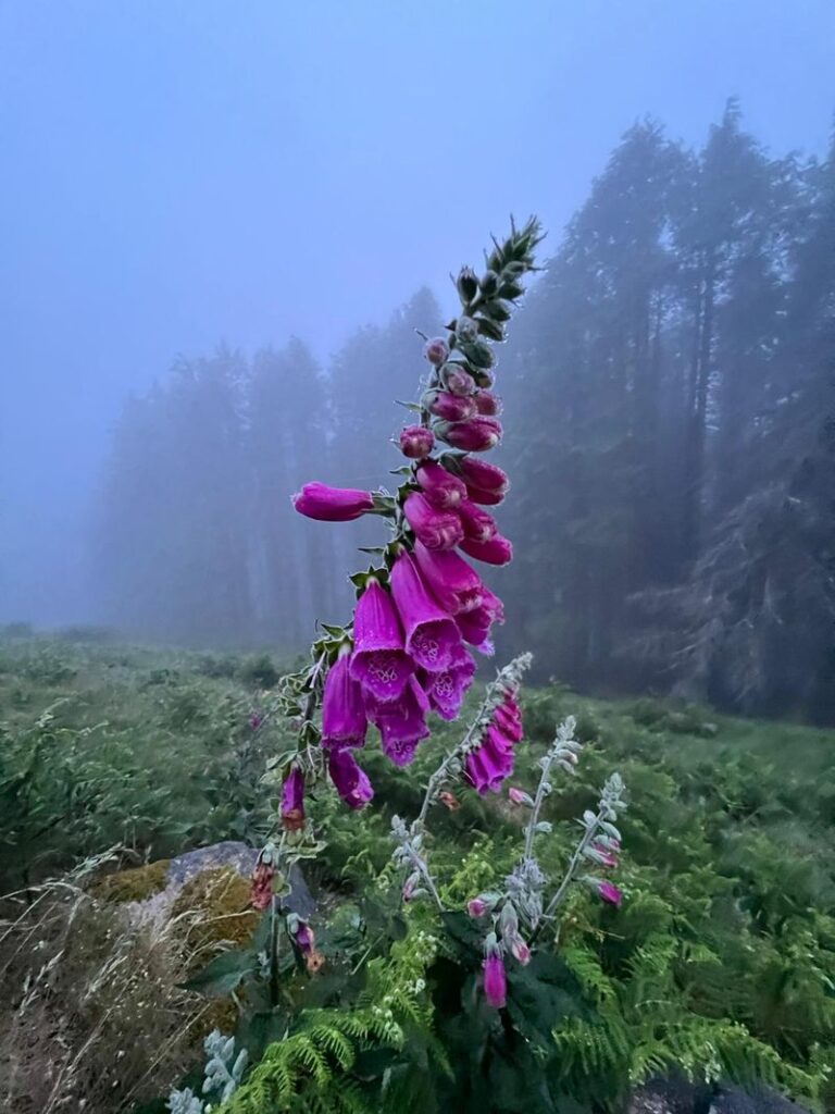 Arritxulo-0042