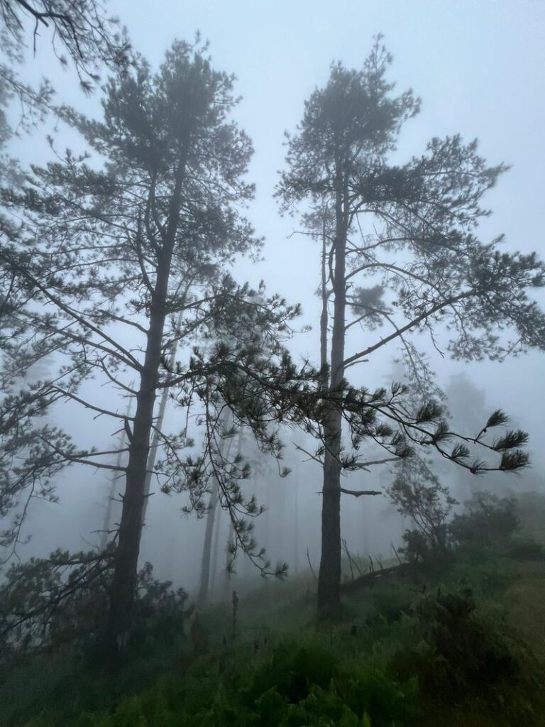 Arritxulo-0056