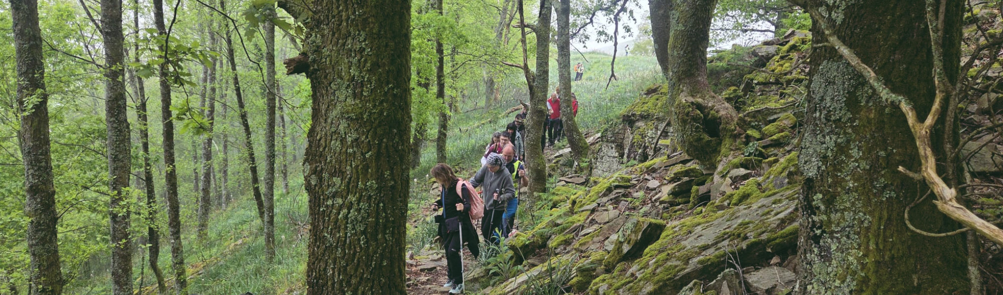 rutas4